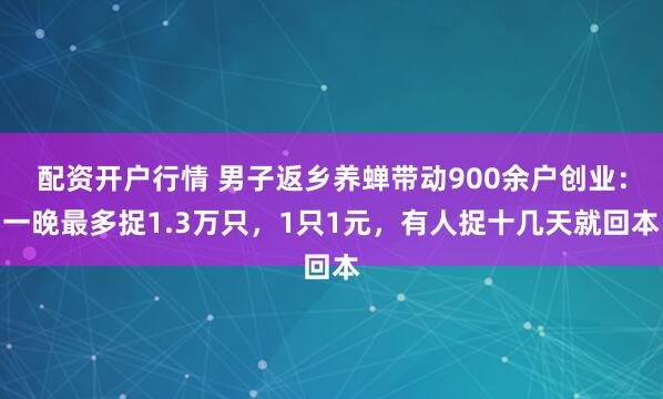 配资开户行情 男子返乡养蝉带动900余户创业：一晚最多捉1.3万只，1只1元，有人捉十几天就回本