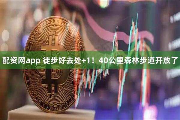 配资网app 徒步好去处+1！40公里森林步道开放了