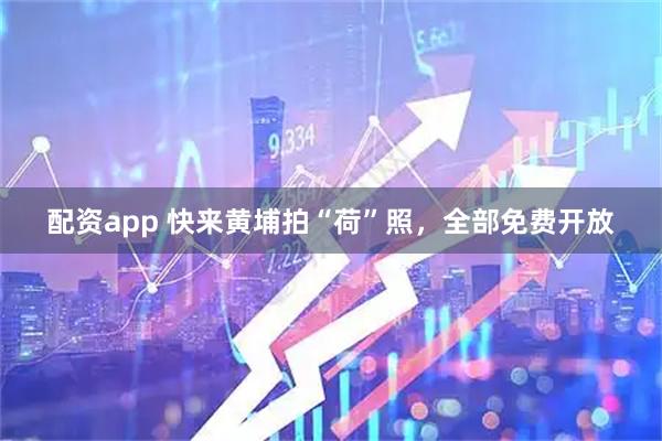 配资app 快来黄埔拍“荷”照，全部免费开放